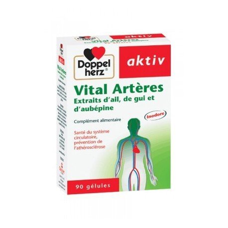 AKTIV VITAL ARTERES 90 GELULES